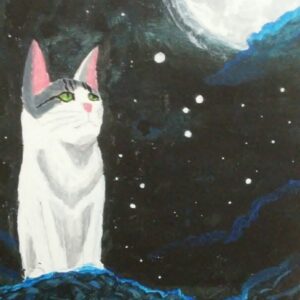 Adiós Luna